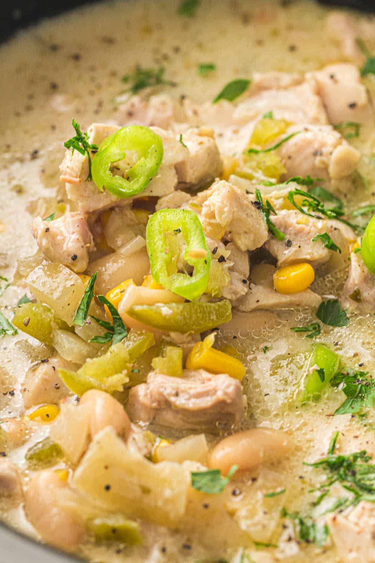 Close-up of a creamy Slow Cooker White Chicken Chili with chunks of chicken, white beans, corn, green chili slices, onions, and chopped herbs in a savory broth.