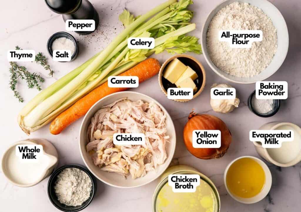 Overhead view of labeled ingredients for Chicken Dumpling Soup, including chicken, carrots, celery, onion, garlic, butter, flour, baking powder, milk, evaporated milk, broth, thyme, salt, and pepper.
