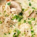 Close-up of Chicken Dumpling Soup in a creamy broth, garnished with chopped parsley and black pepper.